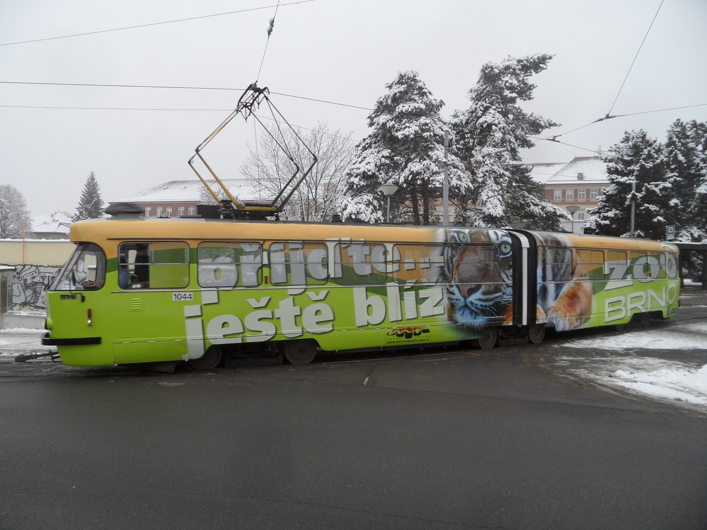 Polep tramvaje ZOO Brno
