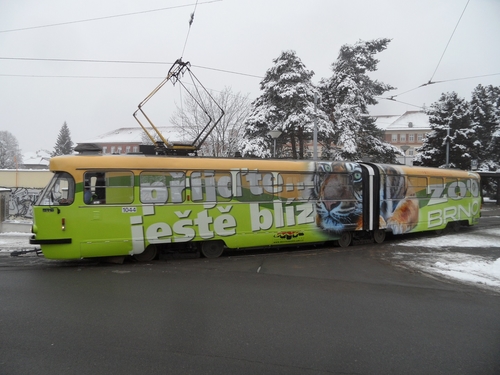 Referenční foto: Polep tramvaje ZOO Brno