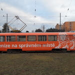 CELOPOLEP - tramvaj T3 (+ 3 okna)